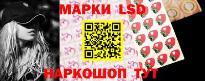 кокс Кингисепп