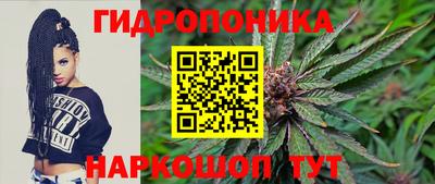 кокс Кингисепп