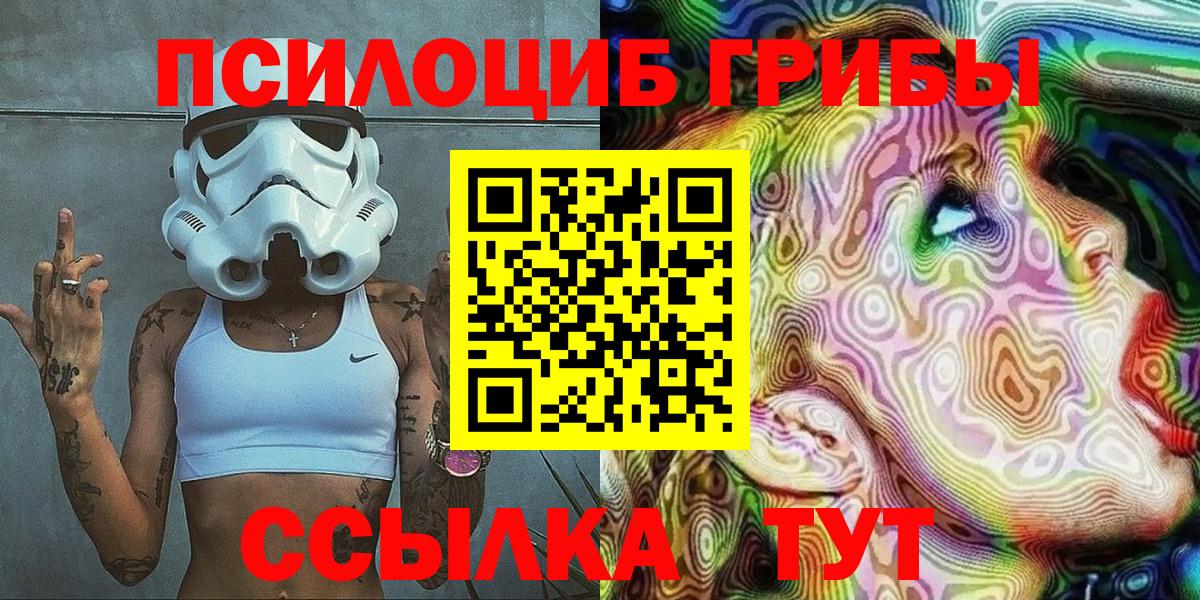 как найти закладки  Котлас  Псилоцибиновые грибы MAGIC MUSHROOMS 