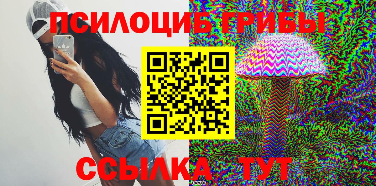 Котлас  Псилоцибиновые грибы прущие грибы  Псилоцибиновые грибы Psilocybine cubensis  Вход с VPN 