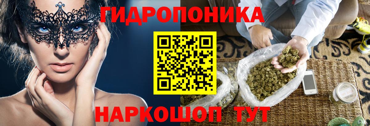 Конопля OG Kush  Вход с VPN  Котлас  Бошки Шишки MAZAR  Марихуана Amnesia  Бошки Шишки OG Kush 